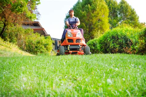 Harness the Power of Magic: Transform Your Lawn with Expert Lawn Care Advice